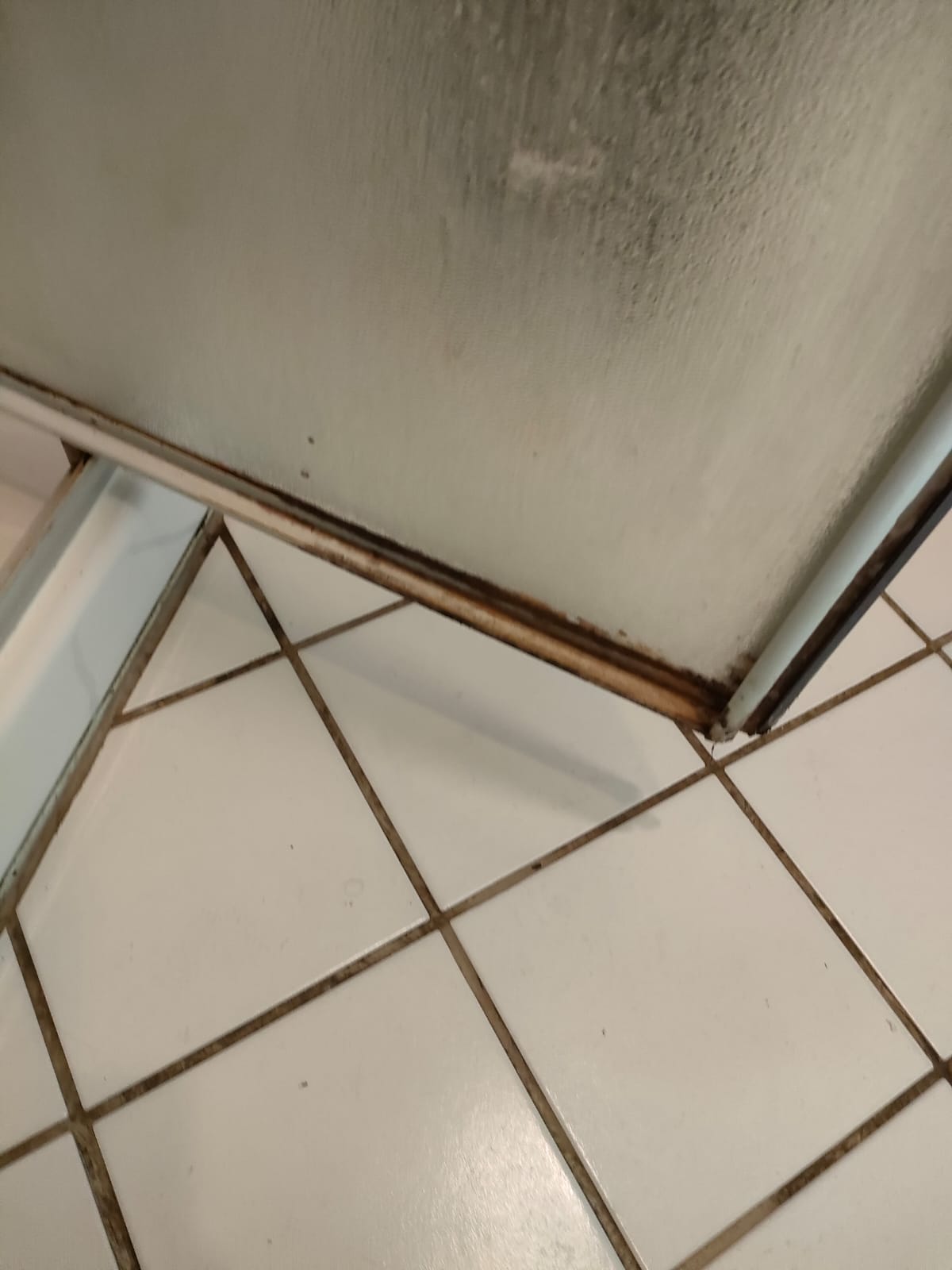 Paroi de douche et joints avant nettoyage